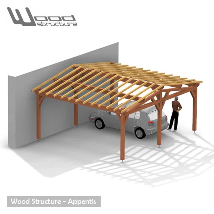 Appentis 2 Pans L 6 x 6